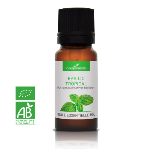 Huile essentielle Bio Basilic tropical 10ml