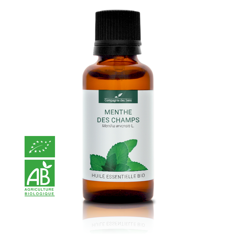 Huile essentielle Bio Menthe des Champs 30ml