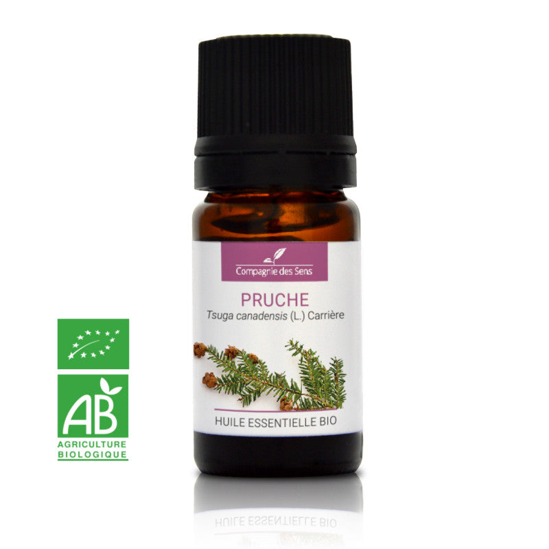 Huile essentielle Bio Pruche 5ml